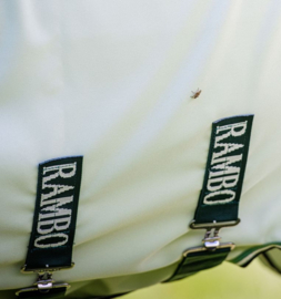 Rambo | Chemise d'été Hoody Chalk/Hunter Green & Silver