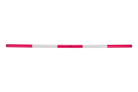 Springset Hobby Horsing Pink