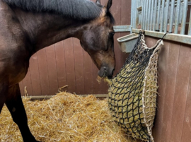 Hay slow feeder duonet 10kg