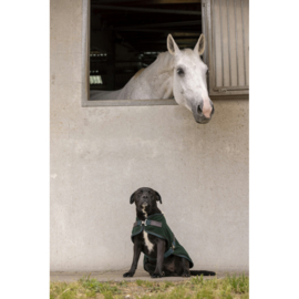 DIEGO & LUNA Teddy fleece hondendeken Groen