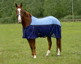 Chemise séchante EQUITHÈME filet/éponge Bleu