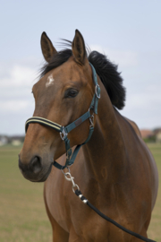 EQUITHÈME Chevron halster Donkergroen