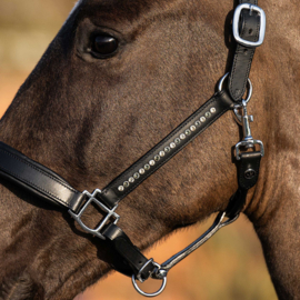 HARRY'S HORSE Leder halster Anatomic Crystal Zwart