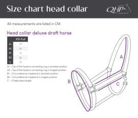 QHP | Licol Deluxe pour cheval de trait Bordeaux