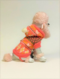 Pull LOVABLE DOG avec capuchon