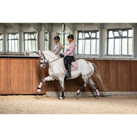 BR Zadeldek Jay Nirvana