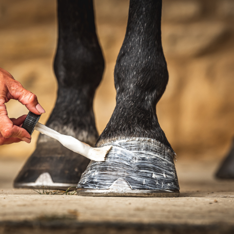 Cornucrescine Daily Hoof Moisturiser