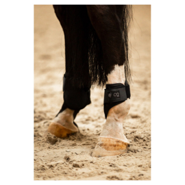 BR CLX XO2 strijklappen Meteorite