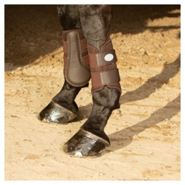 HARRY'S HORSE Beenbeschermers Air Mesh Bruin