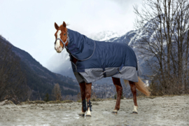 PAARD
