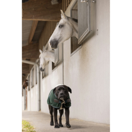 DIEGO & LUNA Teddy fleece hondendeken Groen