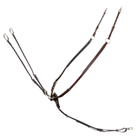 BR Voortuig Corsham Oak/Zilver