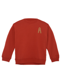 Ammehoela - Sweater Rocky Fire Whirl