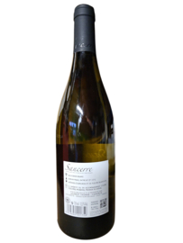 Sancerre blanc, "Le Chant de Merle ", Loire, M. Thomas, 2024