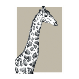 WILDLIFE | Giraffe
