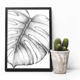 Monstera  | A5 Poster