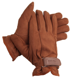 Handschuh Ideal "Winter"