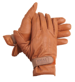 Handschuh Ideal "Standard"