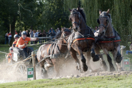 Hintergeschirr Shire Leder