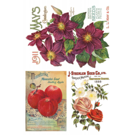 Seed Catalogue page 4