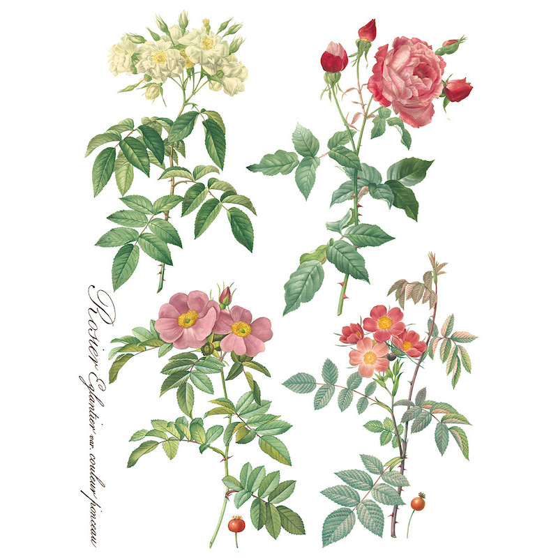 IOD Transfer Rose Botanical pagina 7