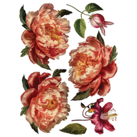 IOD Transfer Collage de Fleurs