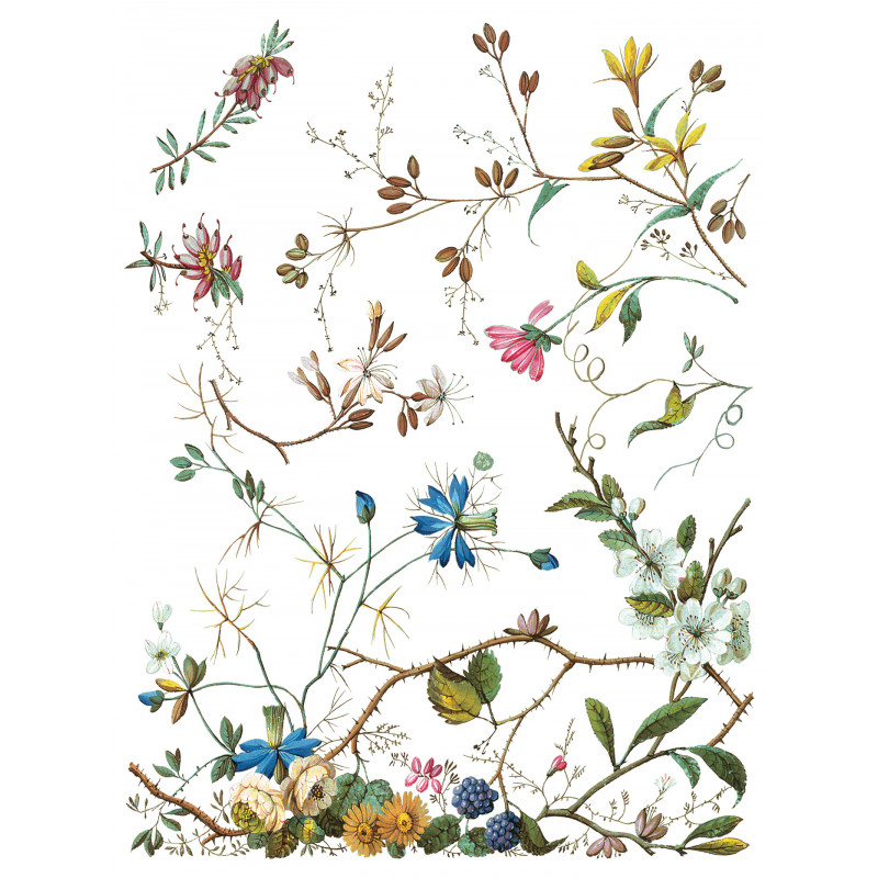 IOD Transfer Lost Garden pagina 6