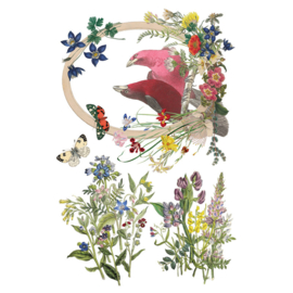 IOD Transfer Flora Greca