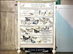 IOD Transfer Entomology Etcetera