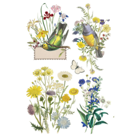 IOD Transfer Flora Greca