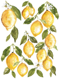 IOD Transfer Lemon Drops P3