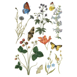 IOD Transfer Wilde Bloemen