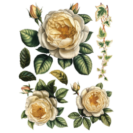 IOD Transfer Collage de Fleurs
