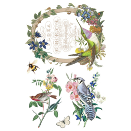 IOD Transfer Flora Greca