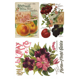 Seed Catalogue page 2