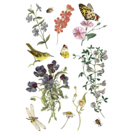 IOD Transfer Wilde Bloemen