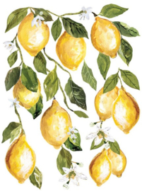 IOD Transfer Lemon Drops P4
