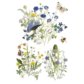 Flora Greca pagina 8