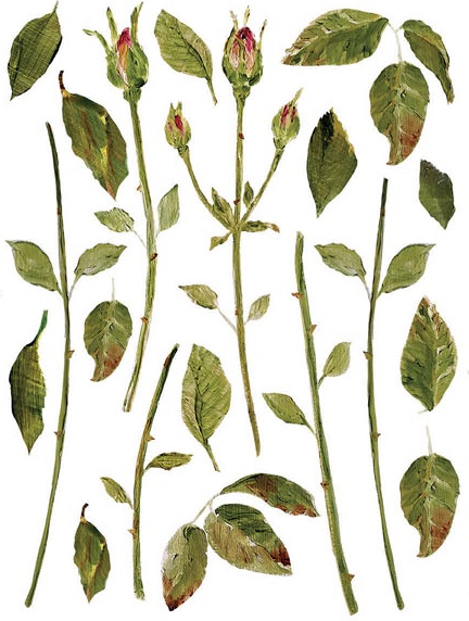 IOD Transfer Painterly Florals pagina 7