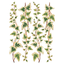 IOD Transfer Collage de Fleurs
