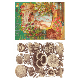 Seed Catalogue pagina 6