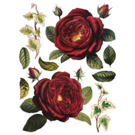 IOD Transfer Collage de Fleurs