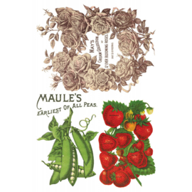 Seed Catalogue page 7