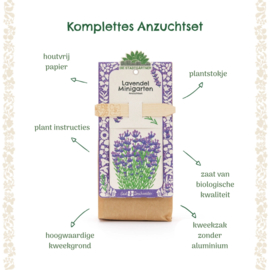 Mini tuin - Lavendel (biologisch)