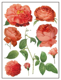 Redoute II pagina 6