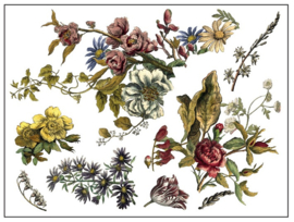 IOD Transfer Floral Anthology P2