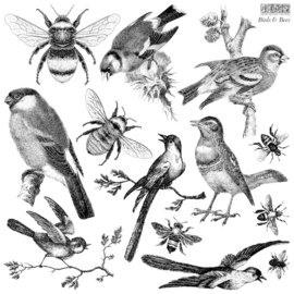 IOD stempel Birds & Bees