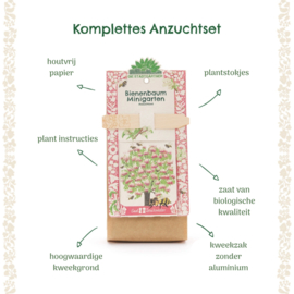 Mini tuin - Bijenstruik (biologisch)
