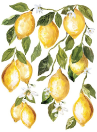 IOD Transfer Lemon Drops P1