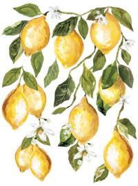 IOD Transfer Lemon Drops